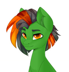 Size: 1216x1280 | Tagged: safe, artist:shooshaa, derpibooru import, oc, oc only, earth pony, pony, bust, commission, eye scar, facial scar, portrait, scar, simple background, solo, white background