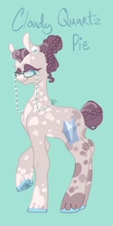 Size: 1026x2048 | Tagged: safe, artist:whimday, derpibooru import, cloudy quartz, earth pony, pony, g4, alternate design, braid, female, glasses, glasses chain, hair bun, mare, solo, tail, tail bun, unshorn fetlocks