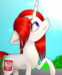 Size: 750x901 | Tagged: safe, artist:creampaint12, derpibooru import, oc, oc:poland, pony, unicorn, horn, nation ponies, poland, ponified, solo, species swap