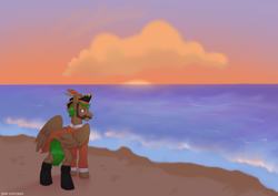 Size: 3508x2480 | Tagged: safe, artist:jjsh, derpibooru import, oc, oc only, oc:peatmoss, cloud, facial hair, glasses, hat, head turn, high res, male, moustache, ocean, outdoors, pirate costume, pirate hat, sand, shore, sky, solo, stallion, sunset, water