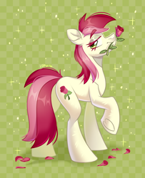 Size: 3600x4434 | Tagged: safe, artist:k0potb, derpibooru import, roseluck, earth pony, pony, g4, checkered background, flower, flower in mouth, mouth hold, rose, rose in mouth, solo