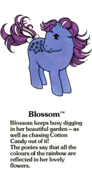 Size: 525x1000 | Tagged: safe, derpibooru import, blossom, earth pony, pony, g1, blossom (g1), blossomdorable, bow, closed mouth, cute, female, g1 backstory, mare, my little pony fact file, official, smiling, solo, tail, tail bow, text