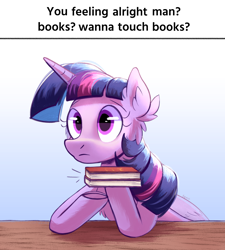 Size: 2250x2500 | Tagged: safe, artist:candy meow, derpibooru import, twilight sparkle, alicorn, pony, g4, boobs? wanna touch boobs?, book, bookhorse, caption, cheek fluff, chest fluff, concerned, ear fluff, ears, female, frog (hoof), gradient background, image macro, mare, meme, offering, ponified, ponified meme, solo, species swap, table, text, that pony sure does love books, underhoof