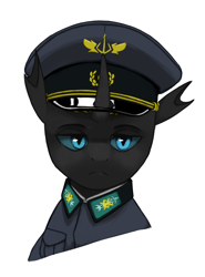 Size: 2700x3649 | Tagged: safe, derpibooru import, oc, oc:stephen sen, changeling, equestria at war mod, changeling oc, clothes, reference, uniform