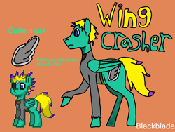 Size: 4096x3072 | Tagged: safe, artist:blackblade360, derpibooru import, oc, oc only, oc:wing crasher, pegasus, pony, fallout equestria, 2024, ashes town, bio, blue eyes, clothes, cutie mark, digital art, eyepatch, green coat, ibispaint x, male, orange background, pegasus oc, pixel art, pony oc, raised hoof, raised leg, reference, reference sheet, signature, simple background, stallion, stallion oc, tail, title card, two toned mane, two toned tail