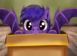 Size: 2200x1600 | Tagged: safe, derpibooru import, oc, oc only, oc:sliwka, bat pony, box, fangs, looking at you, request