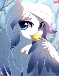 Size: 3824x4960 | Tagged: safe, artist:fensu-san, derpibooru import, oc, oc only, oc:glaucous, griffon, blurry background, bust, chest fluff, commission, cute, digital art, eyeshadow, female, griffon oc, looking at you, makeup, portrait, signature, smiling, smiling at you, snow, snowfall, solo, wings