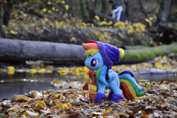 Size: 1095x730 | Tagged: safe, artist:mgrdash, derpibooru import, rainbow dash, pegasus, pony, clothes, forest, irl, leaves, nature, outdoors, photo, plushie, ponies in real life, river, scarf, solo, striped scarf, tree, water