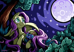 Size: 2480x1754 | Tagged: safe, artist:kizupoko, derpibooru import, fluttershy, princess luna, alicorn, pegasus, pony, g4, bush, cute, grass, moon, night, night sky, outdoors, plushie, sky, stars, tree