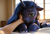 Size: 1640x1120 | Tagged: safe, ai content, derpibooru import, machine learning generated, princess luna, alicorn, human, pony, 3d, anonymous prompter, bed, blushing, cute, depth of field, detailed hair, ear fluff, ears, eyeshadow, feathered wings, female, fluffy, glare, hand, hand on head, human on pony petting, human pov, indoors, looking at you, makeup, mare, offscreen character, offscreen human, petting, photorealistic, pov, realistic, sun, wings