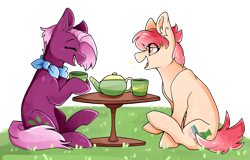 Size: 1280x817 | Tagged: safe, artist:sunnysynopsis, derpibooru import, jasmine leaf, raspberry vinaigrette, earth pony, pony, g4, duo, female, food, outdoors, tea