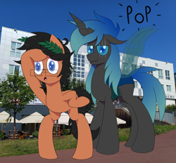 Size: 9031x8382 | Tagged: safe, artist:laurelcrown, derpibooru import, oc, oc:kryostasis, oc:laurel crown, changeling, earth pony, pony, changeling oc, digital art, earth pony oc, glasses, outdoors, real life background