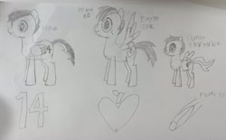 Size: 3100x1927 | Tagged: safe, derpibooru import, oc, oc only, oc:14fan, oc:comet starstruck, oc:empire jack, pegasus, colt, foal, male, pegasus oc, photo, traditional art