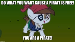 Size: 888x499 | Tagged: safe, derpibooru import, screencap, pipsqueak, earth pony, pony, g4, luna eclipsed, caption, image macro, imgflip, lazytown, pirate pipsqueak, solo, song reference, text, you are a pirate