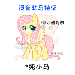 Size: 750x750 | Tagged: safe, artist:tutuantuan03860, derpibooru import, fluttershy, pegasus, pony, chinese, simple background, solo, translated in the comments, white background