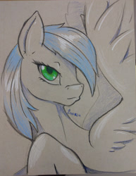 Size: 1688x2183 | Tagged: safe, artist:edgarkingmaker, derpibooru import, oc, oc only, oc:speed rate, pegasus, colored pencil drawing, solo, traditional art