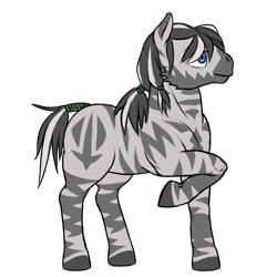 Size: 2099x2099 | Tagged: safe, artist:multiverseequine, derpibooru exclusive, derpibooru import, oc, oc only, oc:makalo, pony, zebra, beard, black and white mane, black hooves, blue eyes, facial hair, full body, male, male oc, raised hoof, raised leg, simple background, smiling, solo, stallion, striped mane, stripes, tail, tail wrap, tied mane, transparent background, zebra oc