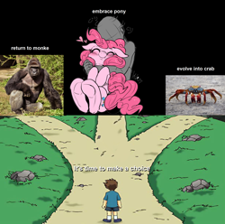 Size: 2136x2120 | Tagged: safe, artist:nekubi, derpibooru import, editor:fluttershyisnot adoormat, pinkie pie, crab, earth pony, human, monkey, choice, crossroads, evolution, grass, harambe, meme, outdoors, road