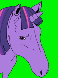 Size: 1080x1437 | Tagged: safe, artist:strlrdvol02, derpibooru exclusive, derpibooru import, edit, twilight sparkle, pony, g4, female, horn, looking at you, meme, reaction image, solo