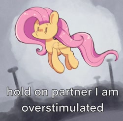 Size: 1470x1450 | Tagged: safe, artist:typhwosion, derpibooru import, fluttershy, pegasus, g4, female, mare, meme, midair, ponified, ponified animal photo, ponified meme, solo, text