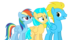 Size: 3985x2237 | Tagged: safe, artist:alicesponycorner, derpibooru import, rainbow dash, oc, pegasus, pony, g4, couple, female, group, group photo, group picture, group shot, male, mare, show accurate, simple background, stallion, transparent background, trio