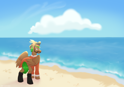 Size: 3508x2480 | Tagged: safe, artist:jjsh, derpibooru import, oc, oc only, oc:peatmoss, cloud, facial hair, glasses, hat, head turn, high res, male, moustache, ocean, pirate costume, pirate hat, sand, shore, sky, solo, stallion, water