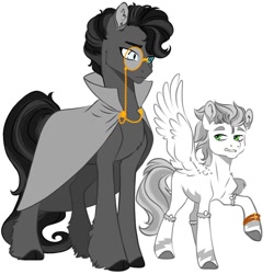 Size: 1080x1080 | Tagged: safe, artist:dragonkkphagon, derpibooru import, oc, oc only, bat pony, pegasus, pony, cloak, clothes, duo, duo male, fanfic, fanfic art, male, monocle, rational fic bait, simple background, stallion, white background