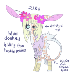 Size: 851x851 | Tagged: safe, artist:cutesykill, derpibooru import, oc, oc only, oc:risu, donkey, arrow, bandage, bandaged leg, battle scarred, big ears, blind, blue eyes, blue sclera, body fluff, body scar, butt fluff, clothes, colored pinnae, donkey oc, ear scar, ears, eye scar, eyelashes, facial scar, floppy ears, flower, flower in hair, leg scar, leonine tail, long ears, long legs, long mane, no catchlights, no mouth, non-pony oc, purple text, scar, shirt, simple background, solo, standing, straight mane, tail, tail scar, thick eyelashes, torn clothes, white background, white coat, white mane, white tail