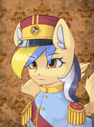 Size: 3120x4200 | Tagged: source needed, safe, artist:闪电_lightning, derpibooru import, oc, pegasus, pony, equestria at war mod, bust, portrait