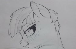 Size: 3000x1968 | Tagged: safe, artist:public mistake, derpibooru import, windy whistles, pegasus, pony, g4, bedroom eyes, bust, female, grayscale, grin, looking at you, looking back, looking back at you, mare, monochrome, pencil drawing, smiling, smiling at you, solo, traditional art, wip