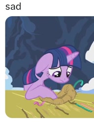 Size: 452x592 | Tagged: safe, derpibooru import, edit, edited screencap, screencap, twilight sparkle, unicorn twilight, unicorn, g4, winter wrap up, bird nest, cropped, ears, floppy ears, horn, my little pony: friendship is magic, nest, ruined, sad, sad face, shitposting, solo