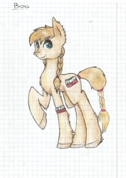 Size: 2480x3506 | Tagged: safe, artist:julitap0, derpibooru import, oc, pony, poland, solo, traditional art