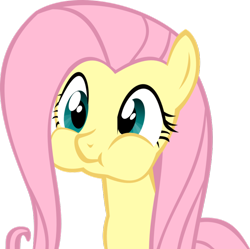 Size: 896x891 | Tagged: safe, artist:owtwem42, derpibooru import, fluttershy, pegasus, pony, g4, cute, female, mare, puffy cheeks, shyabetes, simple background, solo, transparent background, vector