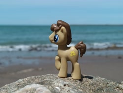 Size: 4000x3000 | Tagged: safe, artist:dingopatagonico, derpibooru import, concerto, earth pony, pony, g4, outdoors, photo, solo, toy