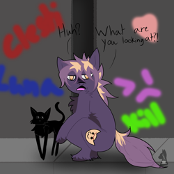 Size: 1600x1600 | Tagged: safe, artist:spectrum205, derpibooru import, oc, oc only, cat, earth pony, pony, animal, black cat, chest fluff, delinquent, golden eyes, graffiti, looking at you, open mouth, outdoors, sitting, solo, street, text, two toned mane