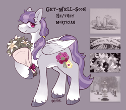 Size: 1247x1094 | Tagged: safe, artist:beyhr, derpibooru import, oc, oc only, oc:get-well-soon, pegasus, pony, bags under eyes, blaze (coat marking), bouquet, coat markings, colored belly, colored hooves, colored wings, colored wingtips, eyelashes, facial markings, flower, folded wings, gradient legs, gravestone, graveyard, gray coat, gray hooves, hair tie, hoof hold, hooves, lily (flower), long mane, long mane male, looking back, male, male oc, mane tie, moodboard, oc redesign, pale belly, pegasus oc, pink eyes, ponytail, profile, purple mane, purple tail, red eyes, shiny hooves, signature, smiling, socks (coat marking), solo, stallion, stallion oc, standing, standing on three hooves, tail, text, three toned wings, tied mane, two toned mane, two toned tail, white wingtips, wings