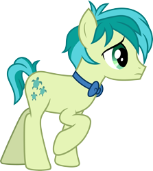 Size: 3000x3357 | Tagged: safe, artist:cloudy glow, derpibooru import, sandbar, earth pony, pony, g4, male, simple background, solo, transparent background, vector