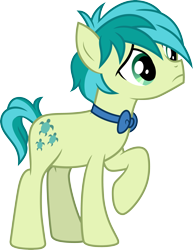 Size: 3000x3886 | Tagged: safe, artist:cloudy glow, derpibooru import, sandbar, earth pony, pony, g4, bowtie, male, simple background, transparent background, vector