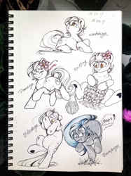 Size: 1529x2048 | Tagged: safe, artist:amishy, derpibooru import, oc, oc only, earth pony, pony, bipedal, blocking, bump, dancing, earth pony oc, female, knitting, looking up, lying down, prone, running, sitting, sketchbook, traditional art