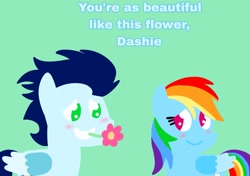 Size: 3553x2499 | Tagged: safe, anonymous artist, derpibooru exclusive, derpibooru import, rainbow dash, soarin', pegasus, pony, series:soarindash relationship, series:soarindash romantic tales, g4, cute, dashabetes, female, flower, heartwarming, male, mare, pointy ponies, primal, rainbow dash is best pony, romantic, shipping, soarinbetes, soarindash, stallion, straight, sweet dreams fuel, text