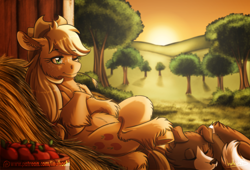 Size: 2000x1356 | Tagged: safe, artist:inuhoshi-to-darkpen, derpibooru import, applejack, winona, dog, earth pony, pony, g4, apple, barn, basket, crossed hooves, duo, ear fluff, ears, female, fluffy, food, fruit, grass, grass field, hay, lying down, mare, on back, one eye closed, patreon, patreon logo, pet, scenery, signature, sleeping, straw, sunset, sweet apple acres, unshorn fetlocks