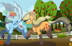 Size: 5036x3199 | Tagged: safe, artist:brybrychan, artist:bryonythewolf, derpibooru import, applejack, rainbow dash, earth pony, pegasus, pony, g4, absurd resolution, appledash, chest fluff, duo, female, lesbian, mare, running, shipping, spread wings, sweet apple acres, unshorn fetlocks, wings