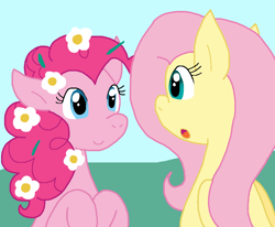 Size: 992x816 | Tagged: safe, artist:cmara, derpibooru import, fluttershy, pinkie pie, earth pony, pegasus, pony, g4, duo, duo female, female, flower, flower in hair