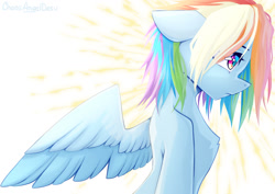 Size: 1323x935 | Tagged: safe, artist:chaosangeldesu, derpibooru import, rainbow dash, pegasus, pony, g4, solo, spread wings, standing, wings