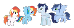 Size: 1280x487 | Tagged: safe, artist:marrayala, derpibooru import, rainbow dash, soarin', oc, oc:cirrus cloud, oc:myriad shadow, pegasus, pony, g4, female, male, mare, offspring, parent:rainbow dash, parent:soarin', parents:soarindash, shipping, soarindash, stallion, straight