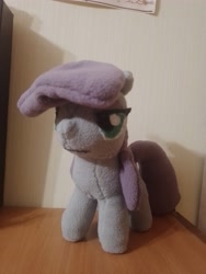 Size: 3000x4000 | Tagged: safe, artist:jbond, derpibooru import, maud pie, earth pony, pony, g4, female, handmade, irl, mare, photo, photography, plushie, solo