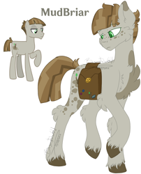 Size: 1672x2068 | Tagged: safe, artist:brybrychan, artist:bryonythewolf, derpibooru import, part of a series, part of a set, mudbriar, earth pony, pony, g4, bag, chest fluff, hock fluff, male, saddle bag, simple background, solo, stallion, transparent background, unshorn fetlocks