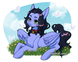 Size: 2000x1600 | Tagged: safe, artist:ayanalune, derpibooru import, oc, oc:skiu, butterfly, pegasus, pony, bell, bell collar, cloud, collar, green eyes, outdoors, solo, wings