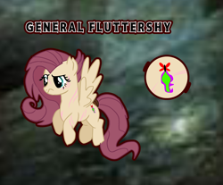 Size: 3150x2607 | Tagged: safe, derpibooru import, fluttershy, pegasus, g4, au: equestria's war, character name, cutie mark, disbelief, general, general fluttershy(equestria's war), long hair, long tail, reference sheet, scar, tail, wings