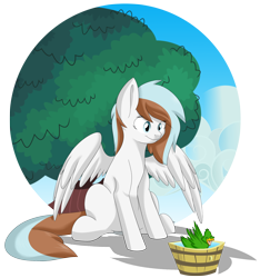 Size: 2432x2600 | Tagged: safe, artist:chub-wub, derpibooru import, oc, oc only, oc:waffles, bird, duck, pegasus, pony, 2016, bucket, old art, simple background, sitting, solo, transparent background, tree